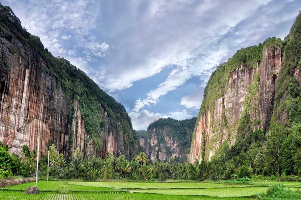 Harau