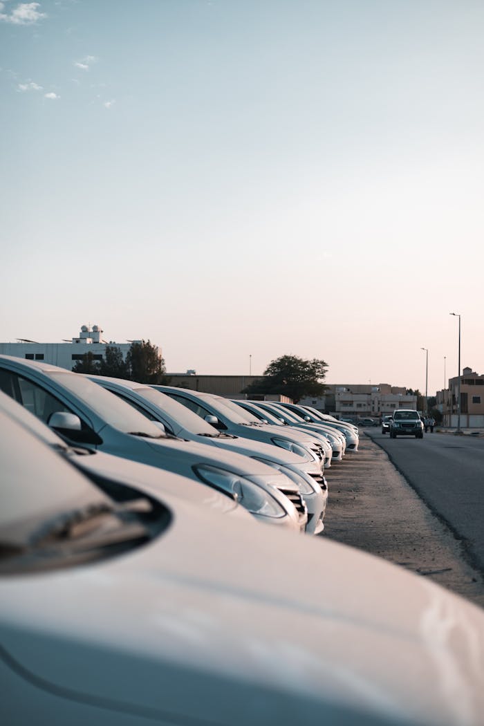 Row of parked cars in a sunlit urban setting in Dammam, showing city life and transportation