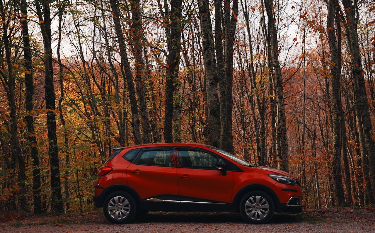 A red SUV parked in a serene autumn forest, surrounded by vibrant fall foliage.