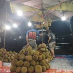 city tour kota padang saat musim durian